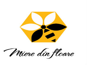 example image